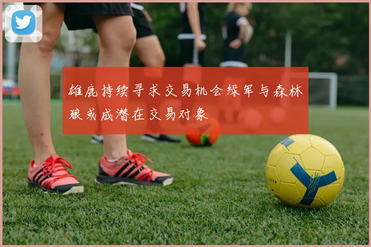 雄鹿持续寻求交易机会绿军与森林狼或成潜在交易对象