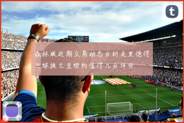 森林狼近期交易动态分析走里德得三球换兰豆续约值得几分评价