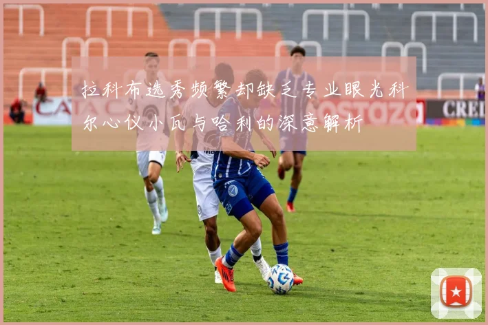 拉科布选秀频繁却缺乏专业眼光科尔心仪小瓦与哈利的深意解析