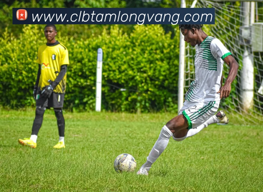 完美体育网址发展历程